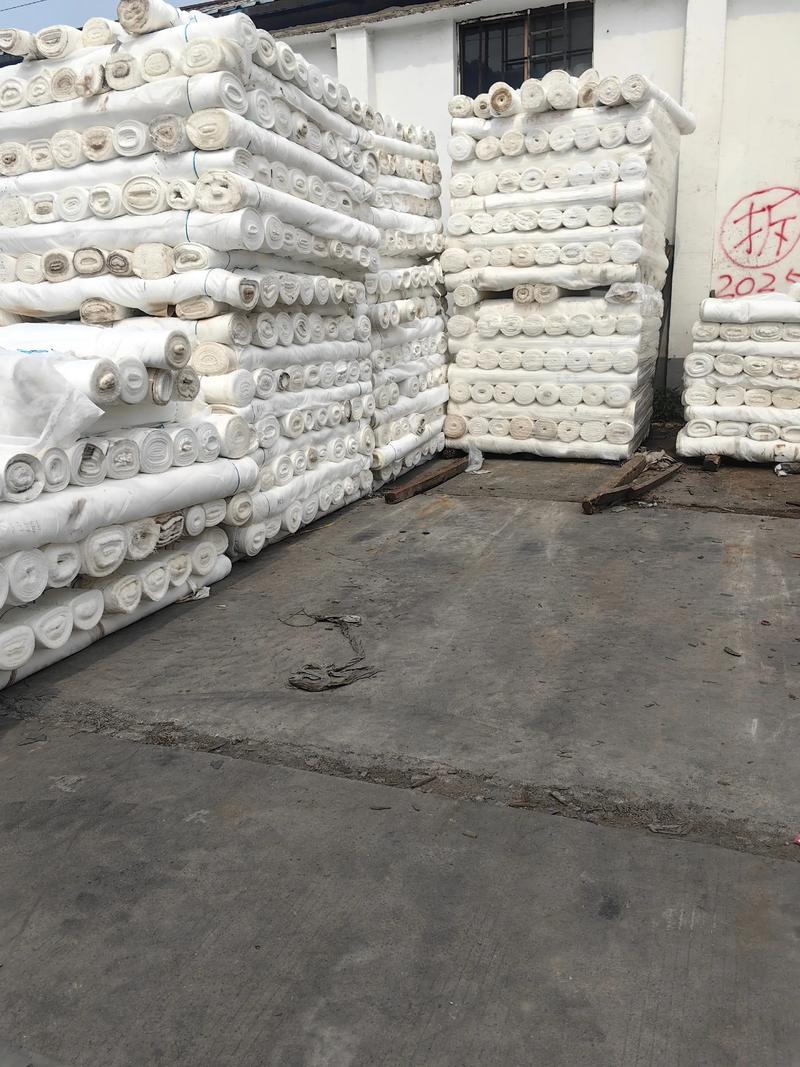 坯布批发：行业新动态与发展趋势